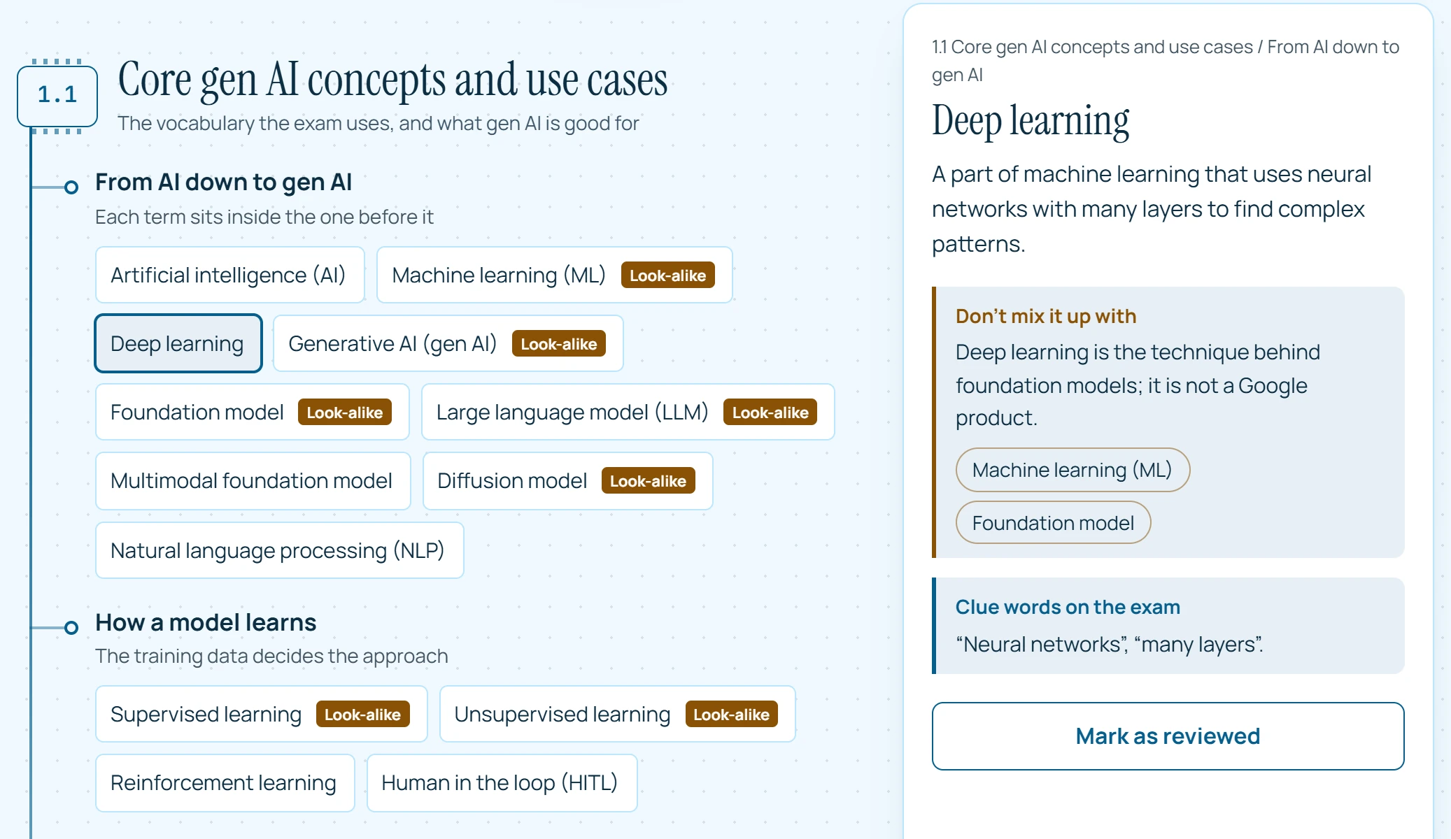 The Section 1 Concept Map: the terms of the section in their groups, and an open card with what the term gets mixed up with and its clue words